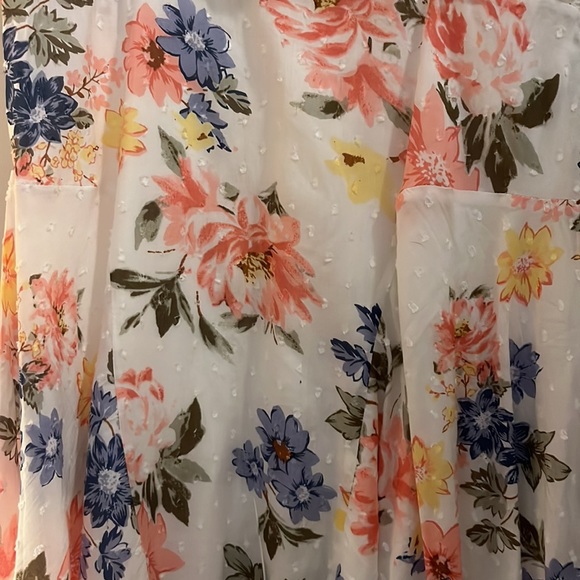 NWT Bouquet of Blooms Ivory Floral Print Clipped Dot Mini Dress - Picture 8 of 11